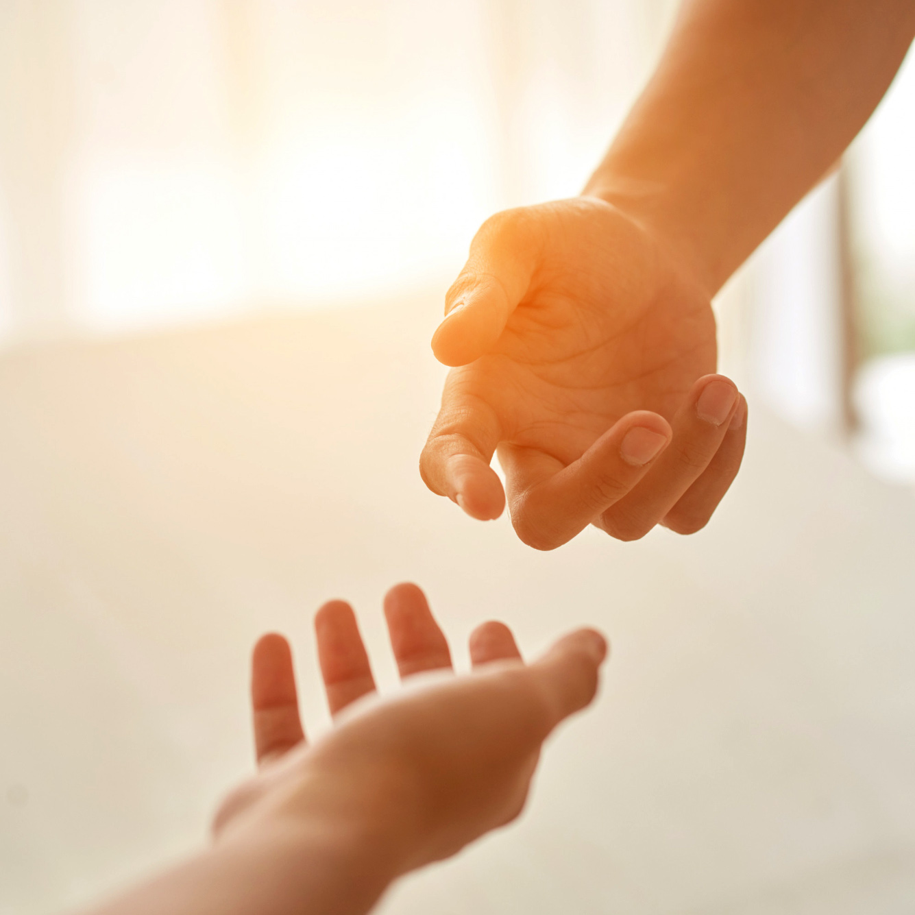 accompagnement global - Giraforme de Paula coaching